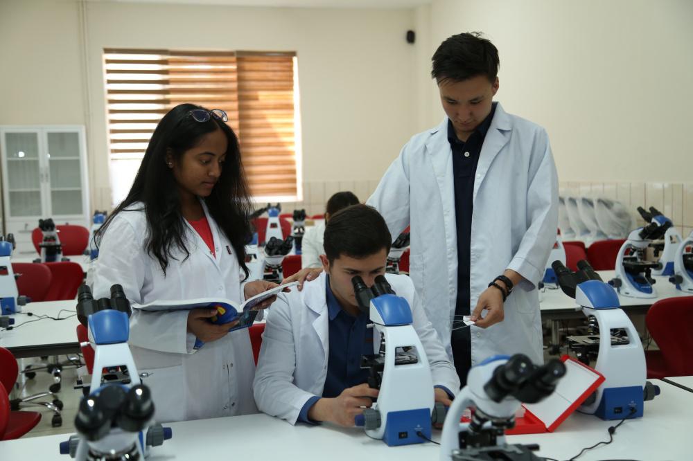 Best Medical Universities Abroad: A Curated List of Globally Recognized Medical Universities